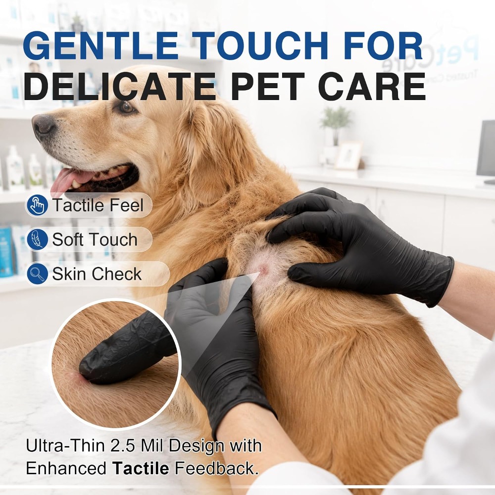 Disposable Black Nitrile Glove - đánh giá và giá Exam Glove Nitrile