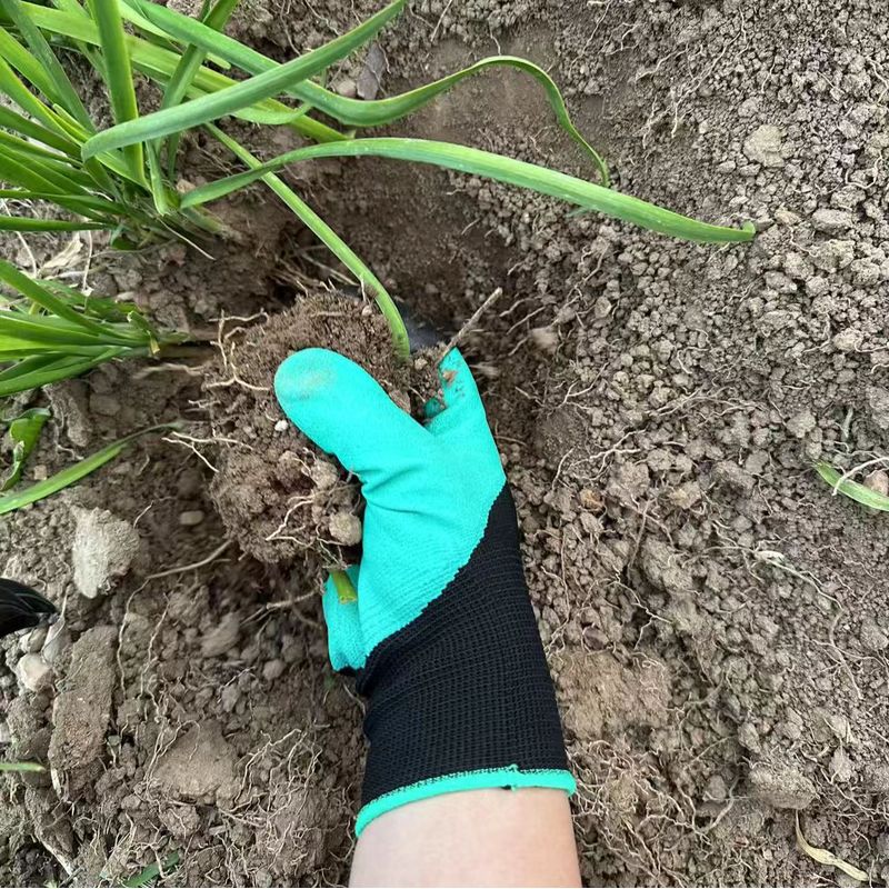 Gardening Gloves with Built-in - đánh giá và giá Gardening Glove Waterproof